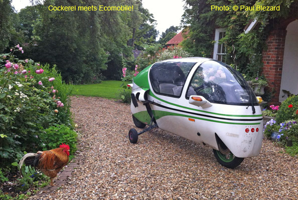 Cockerel meets Eco! 