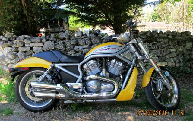 FF-ish Harley Street Rod (sort of!) 